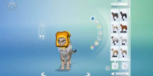Comprar Los Sims 4: Perros y Gatos PC Estándar screen 11 - 11.jpg - 11.jpg