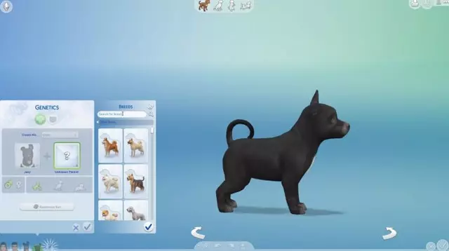 Comprar Los Sims 4: Perros y Gatos PC Estándar screen 5 - 05.jpg - 05.jpg