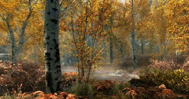 Comprar The Elder Scrolls V: Skyrim Edición Especial Xbox One Complete Edition screen 3 - 02.jpg