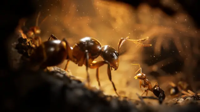 Reservar Empire of The Ants PS5 Estándar screen 5