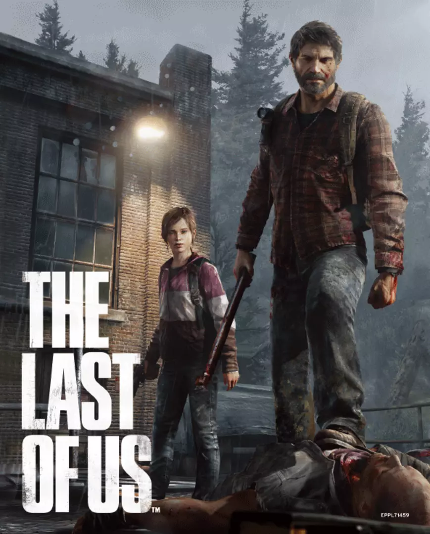 Cuadro 3D The Last of Us