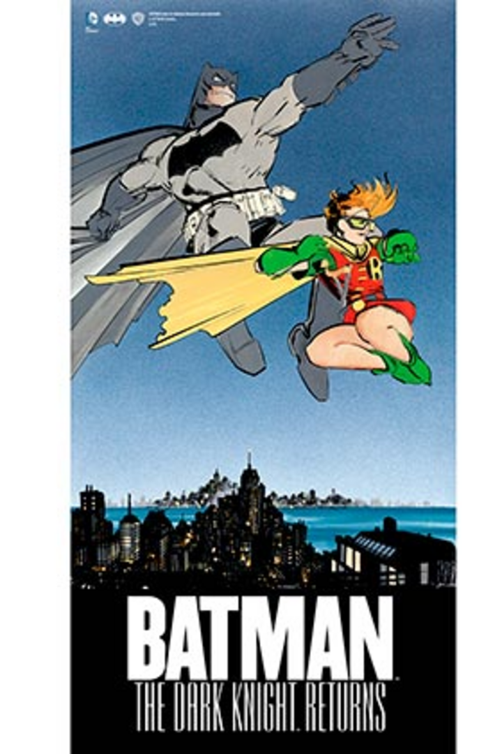 SD TOYS Caza Tie vs ala X Batman Y Robin Poster De Vidrio The Dark Knight Returns DC 30x60 Cm, Multicolor, 3x61x31 cm
