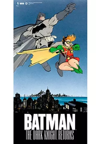 Comprar Batman Y Robin Poster De Vidrio The Dark Knight Returns Dc 30X60 cm Estándar