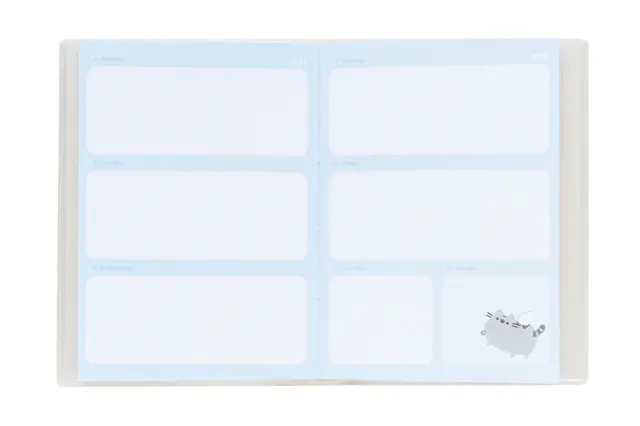Comprar Agenda Escolar 2023/2024 Semana Vista Pocket 17 Meses Pusheen 