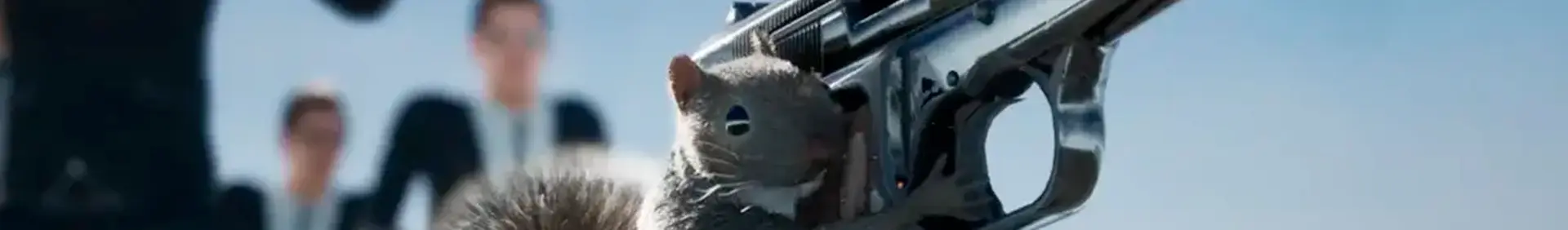 Squirrel With A Gun