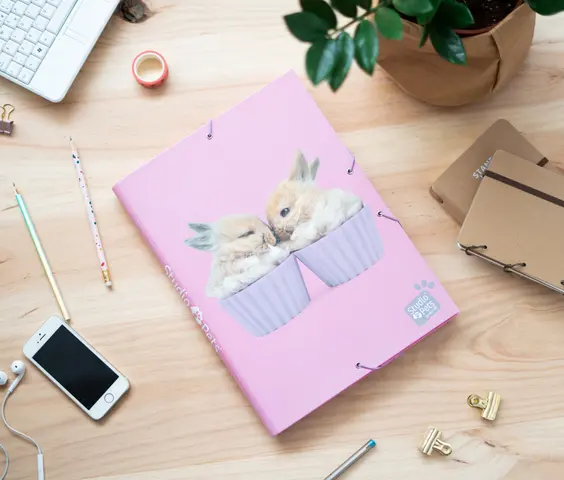 Comprar Carpeta Solapas Studio Pets Rabbits 2019 