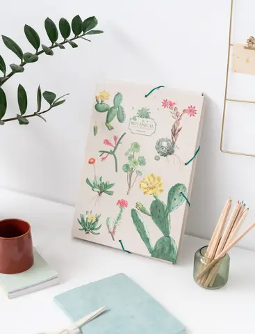Comprar Carpeta Solapas Botanical Cacti Kokonote 
