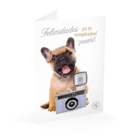 Comprar Tarjeta Felicitacion Studio Pets Felicidades Es Tu Cumpleaños Sonrie 