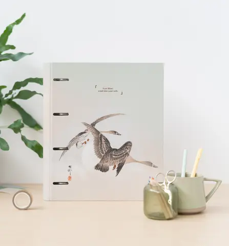 Comprar Carpeta 4 Anillas Premium Japan 