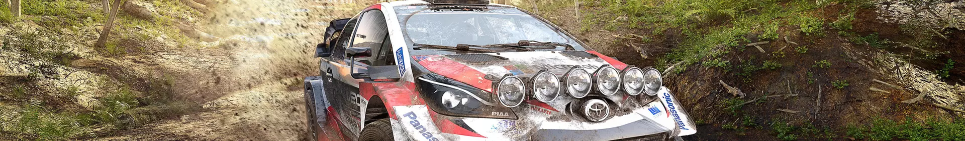 WRC 9: FIA World Rally Championship