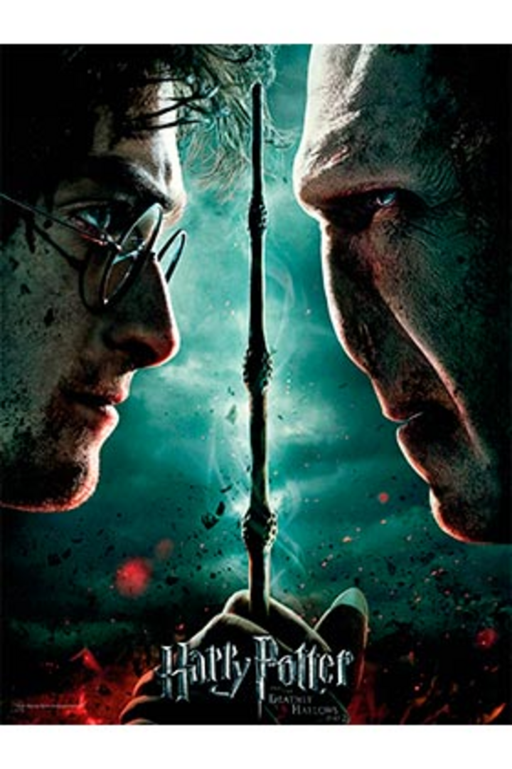 Harry potter y voldemort poster de vidrio 30x40 harry potter