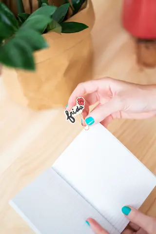 Comprar Clips Con Topper Frida Kahlo 