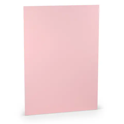 Comprar Folio A4 Paperado 10 Unidades Rosa 