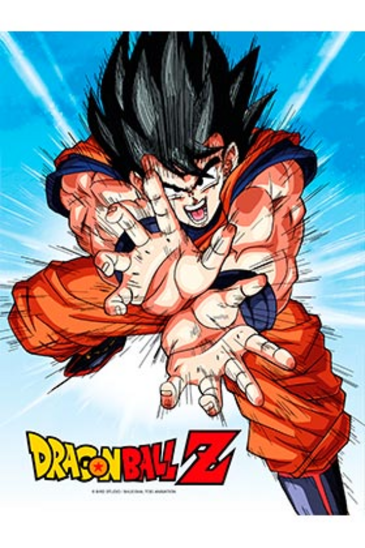 Poster De Vidrio Goku Kame Dragon Ball Z 30X40 cm