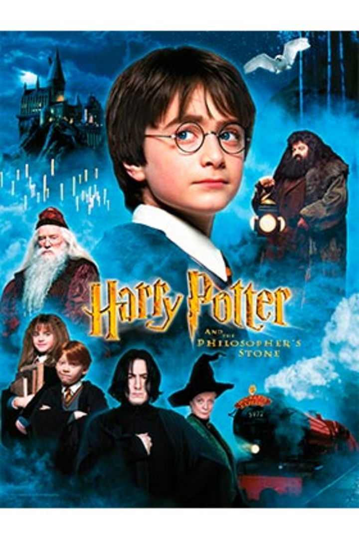 Poster De Vidrio Poster La Piedra Filosofal 30X40 Harry Potter