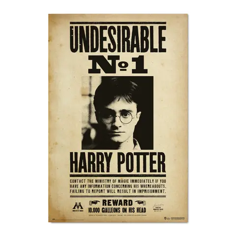 Comprar Poster Harry Potter Undesirable N1 