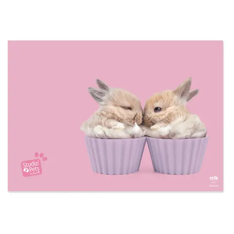 Comprar Vade Escolar Studio Pets Rabbits 2019 