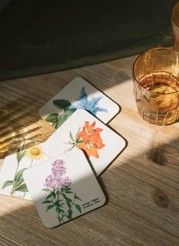 Comprar Set 4 Posavasos Wild Flowers 