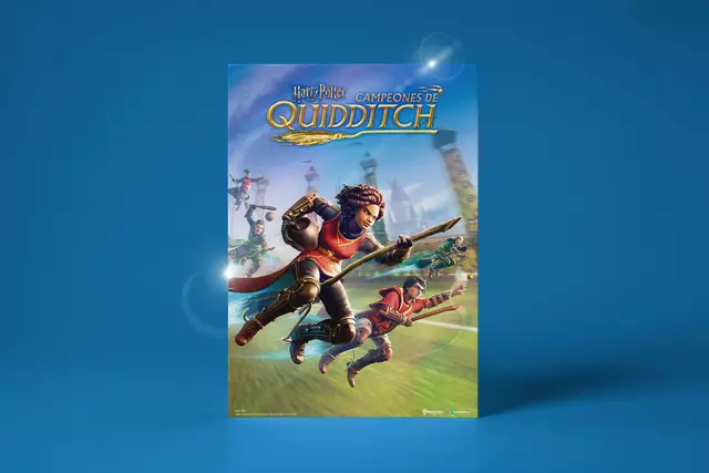 Póster Harry Potter: Campeones de Quidditch