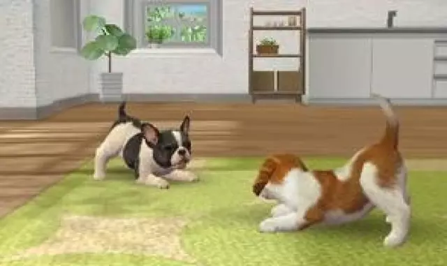 Comprar Nintendogs + Gatos: Bulldog Frances y Nuevos Amigos 3DS Reedición screen 12 - 12.jpg - 12.jpg