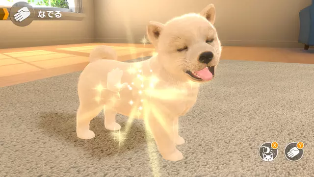 Comprar Little Friends: Dogs and Cats Switch Estándar screen 3