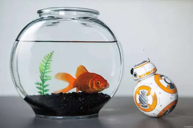 Comprar Star Wars BB8 Droid Robot Electrónico screen 8 - 08.jpg