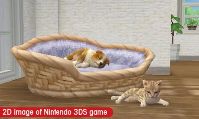 Comprar Nintendogs + Gatos: Bulldog Frances y Nuevos Amigos 3DS Reedición screen 9 - 9.jpg - 9.jpg