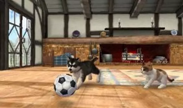Comprar Nintendogs + Gatos: Bulldog Frances y Nuevos Amigos 3DS Reedición screen 11 - 11.jpg - 11.jpg