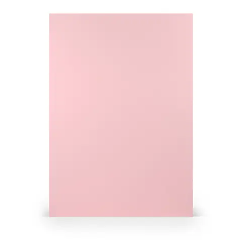 Comprar Folio A4 Coloretti 10 Unidades Rosa 
