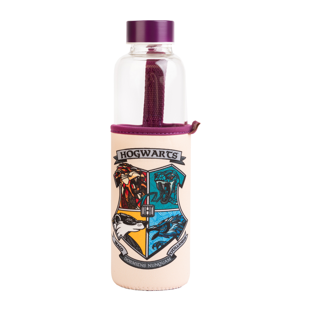 Grupo Erik Botella Harry Potter - Botella agua cristal para niños 500ml