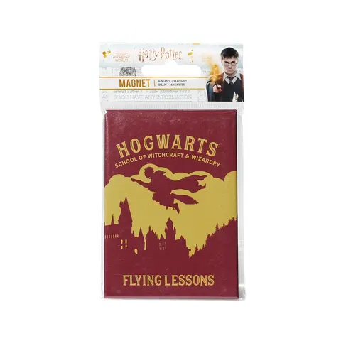 Comprar Iman Metalico Harry Potter Flying Lessons 