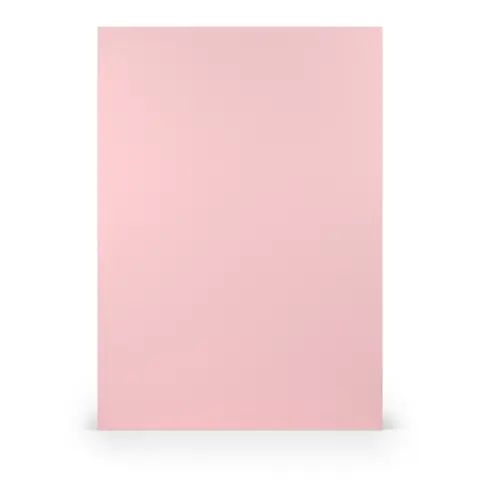 Comprar Folio A4 Paperado 10 Unidades Rosa 