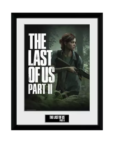 Comprar Cuadro The Last of Us: Parte II Ellie Superviviente Cuadro Ellie Superviviente