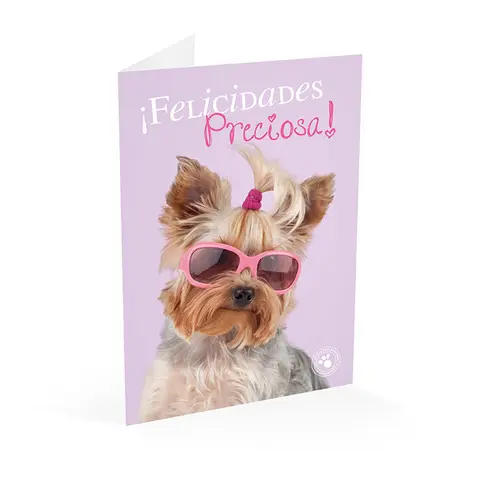 Comprar Tarjeta Felicitacion A4 Studio Pets Perro Felicidades Preciosa 