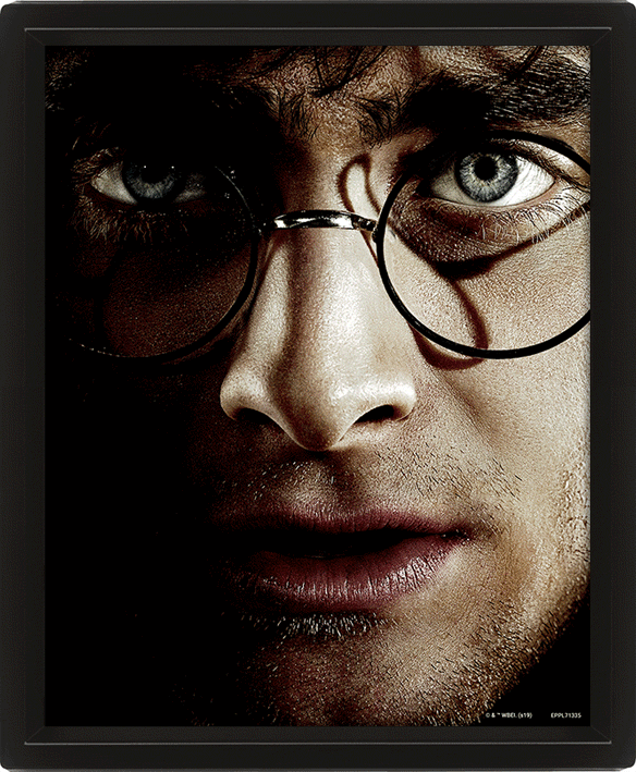 Comprar Harry Potter - Póster 3D Harry / Voldemort Estándar