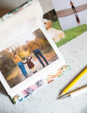 Comprar Album Foto 100 Bolsillos 10X15 cm Disney Bambi Nature