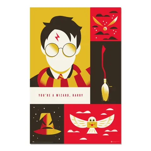 Comprar Poster Harry Potter 100 Aniversario WB 